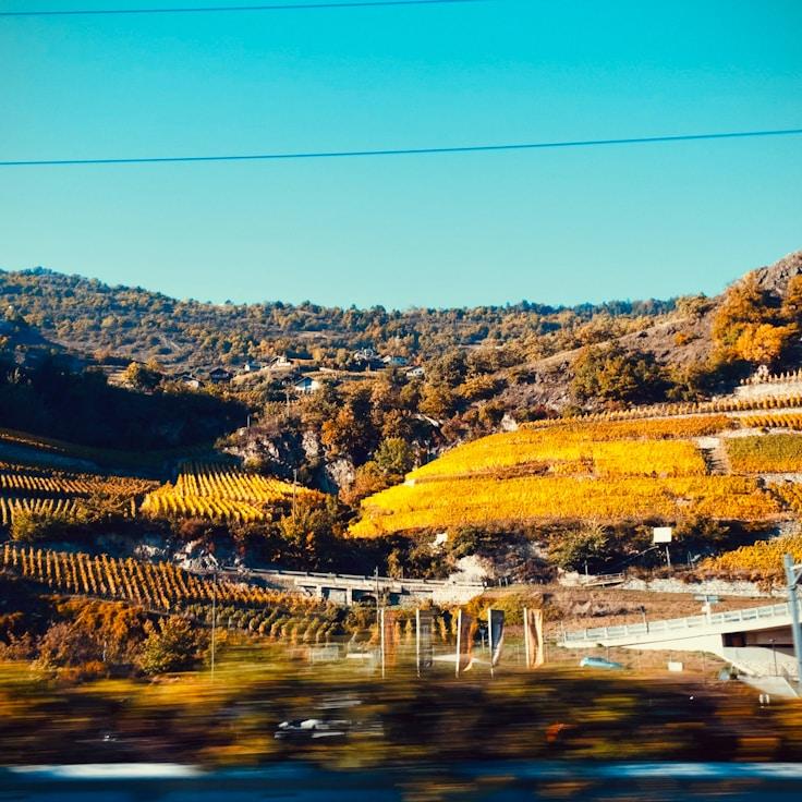 Entertainment zone at night in United States